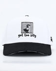 Silly Goose Hat