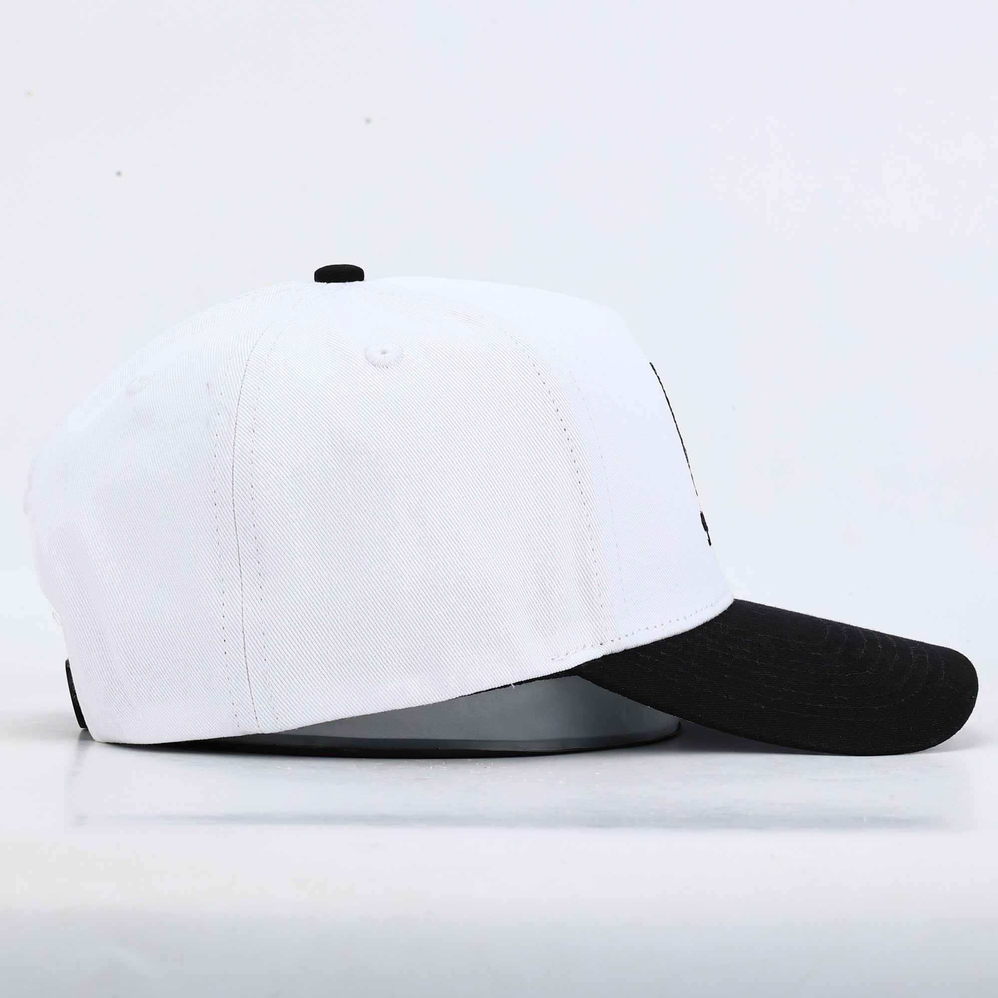Silly Goose Hat