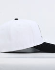 Silly Goose Hat