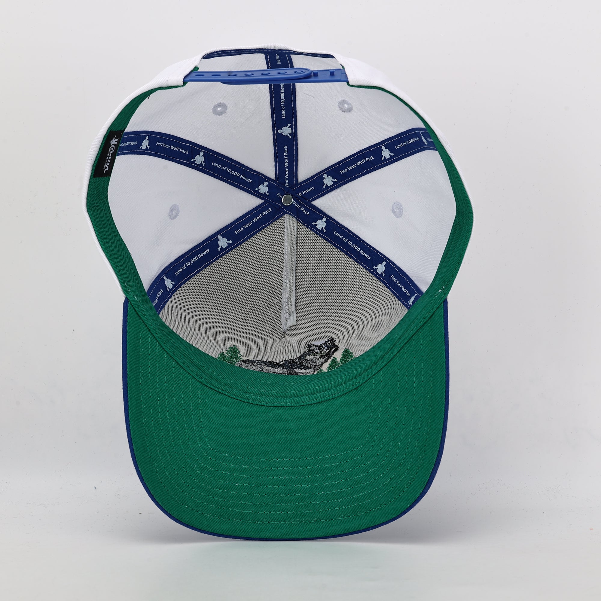 Green cap with a white interior and blue accents on a light gray background